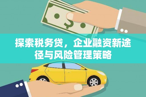 宜黄探索税务贷，企业融资新途径与风险管理策略