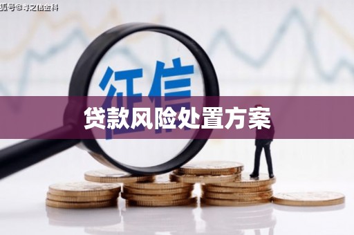 宜黄贷款风险处置方案
