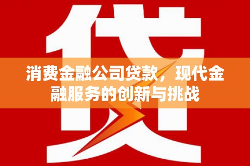 宜黄消费金融公司贷款，现代金融服务的创新与挑战