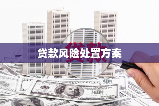 宜黄贷款风险处置方案