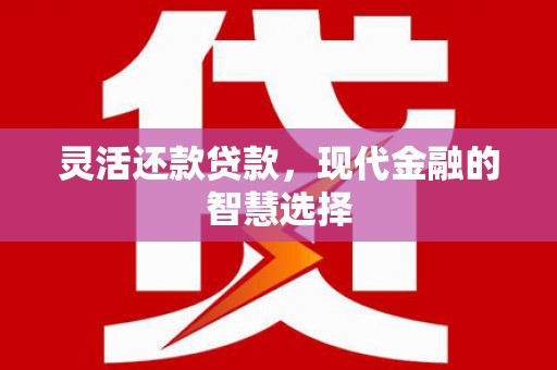 宜黄灵活还款贷款，现代金融的智慧选择
