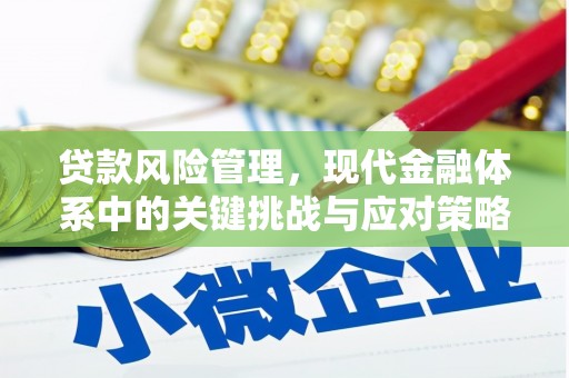 宜黄贷款风险管理，现代金融体系中的关键挑战与应对策略