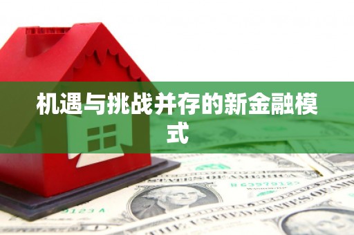 宜黄机遇与挑战并存的新金融模式