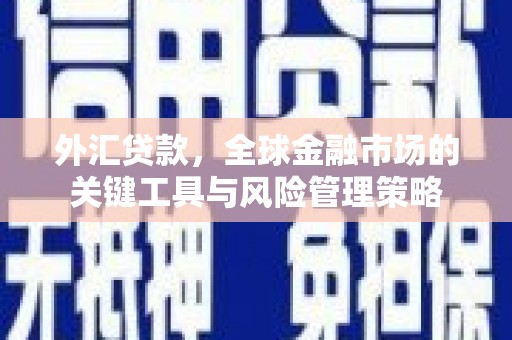 宜黄外汇贷款，全球金融市场的关键工具与风险管理策略