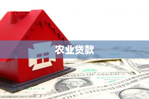 宜黄农业贷款