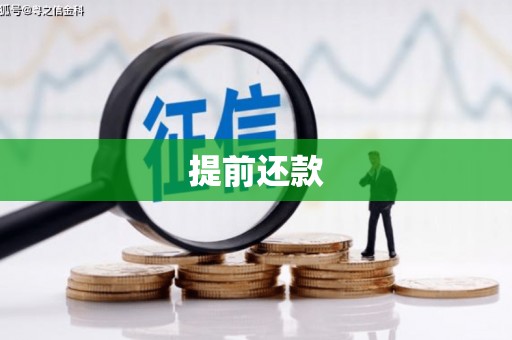 宜黄提前还款