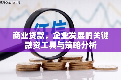 宜黄商业贷款，企业发展的关键融资工具与策略分析