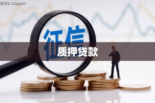 宜黄质押贷款
