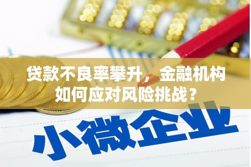 宜黄贷款不良率攀升，金融机构如何应对风险挑战？