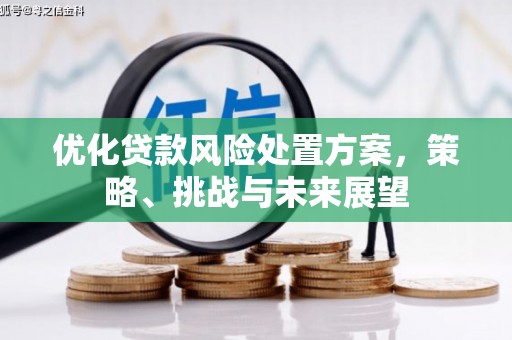 宜黄优化贷款风险处置方案，策略、挑战与未来展望