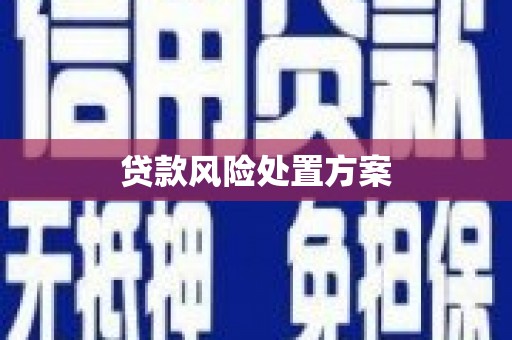 宜黄贷款风险处置方案