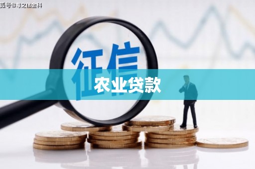 宜黄农业贷款