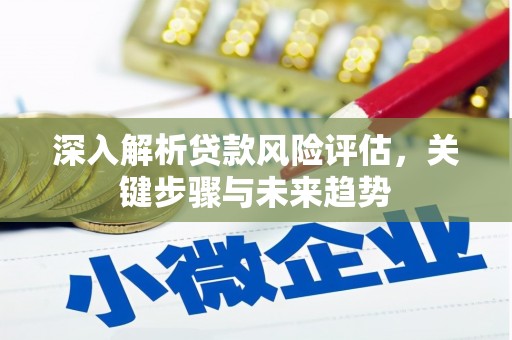宜黄深入解析贷款风险评估，关键步骤与未来趋势