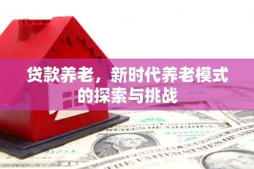 宜黄贷款养老，新时代养老模式的探索与挑战