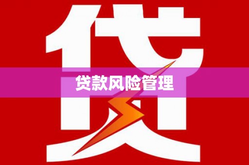 宜黄贷款风险管理