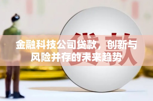 宜黄金融科技公司贷款，创新与风险并存的未来趋势