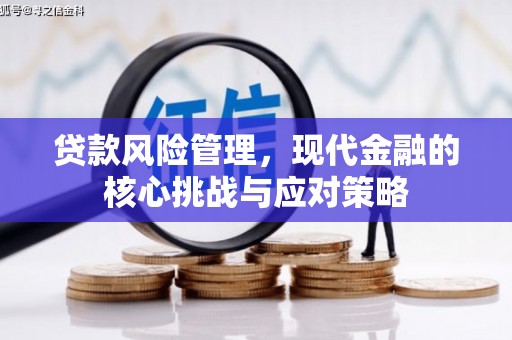 宜黄贷款风险管理，现代金融的核心挑战与应对策略