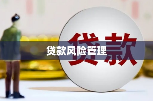 宜黄贷款风险管理