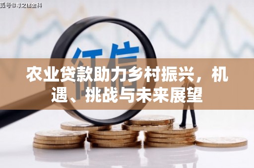 宜黄农业贷款助力乡村振兴，机遇、挑战与未来展望