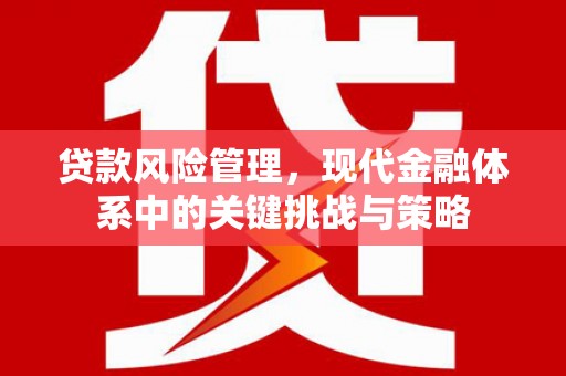 宜黄贷款风险管理，现代金融体系中的关键挑战与策略