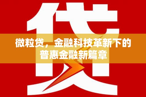 宜黄微粒贷，金融科技革新下的普惠金融新篇章