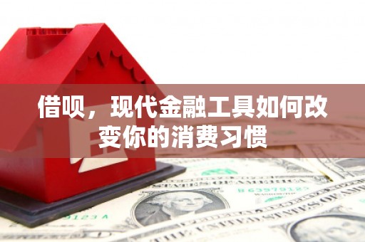 宜黄借呗，现代金融工具如何改变你的消费习惯