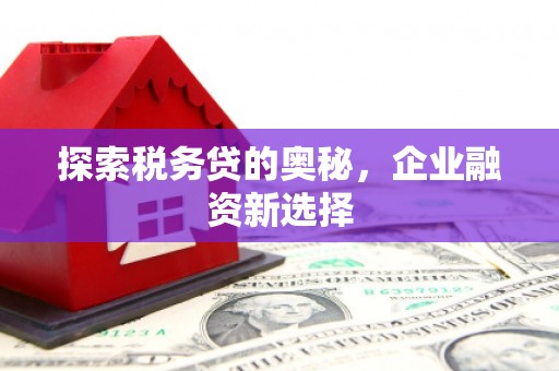 宜黄探索税务贷的奥秘，企业融资新选择