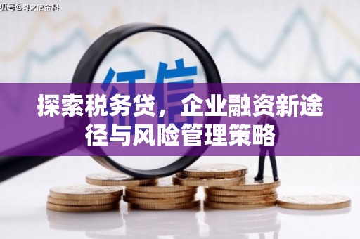 宜黄探索税务贷，企业融资新途径与风险管理策略