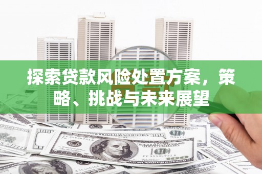 宜黄探索贷款风险处置方案，策略、挑战与未来展望