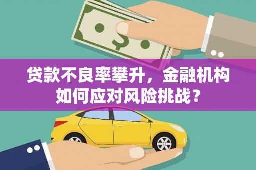 宜黄贷款不良率攀升，金融机构如何应对风险挑战？
