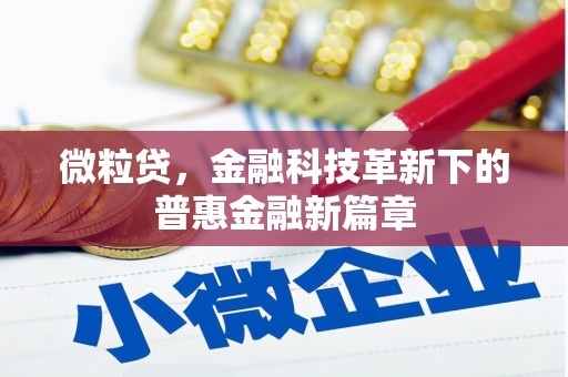宜黄微粒贷，金融科技革新下的普惠金融新篇章