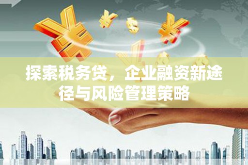 宜黄探索税务贷，企业融资新途径与风险管理策略