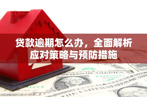 宜黄贷款逾期怎么办，全面解析应对策略与预防措施