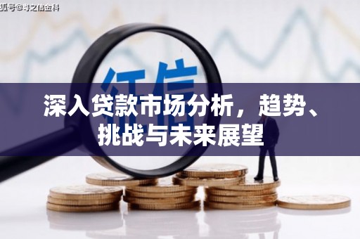 宜黄深入贷款市场分析，趋势、挑战与未来展望