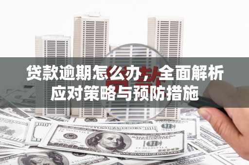 宜黄贷款逾期怎么办，全面解析应对策略与预防措施