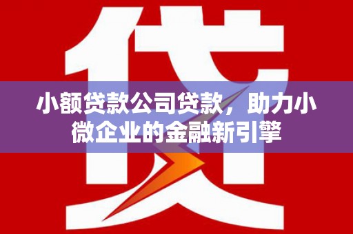 宜黄小额贷款公司贷款，助力小微企业的金融新引擎