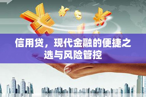 宜黄信用贷，现代金融的便捷之选与风险管控