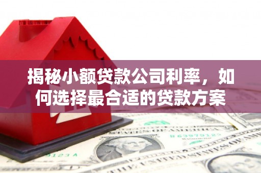宜黄揭秘小额贷款公司利率，如何选择最合适的贷款方案