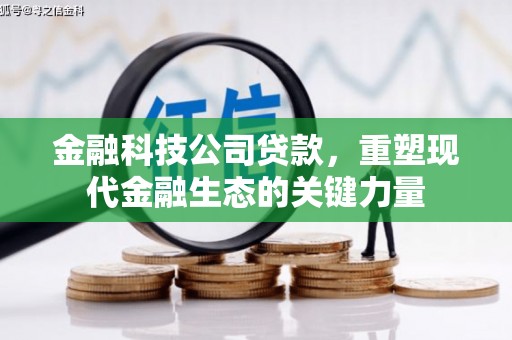 宜黄金融科技公司贷款，重塑现代金融生态的关键力量