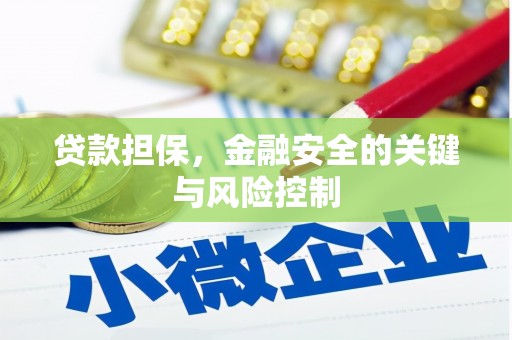 宜黄贷款担保，金融安全的关键与风险控制