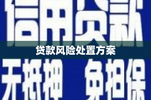 宜黄贷款风险处置方案