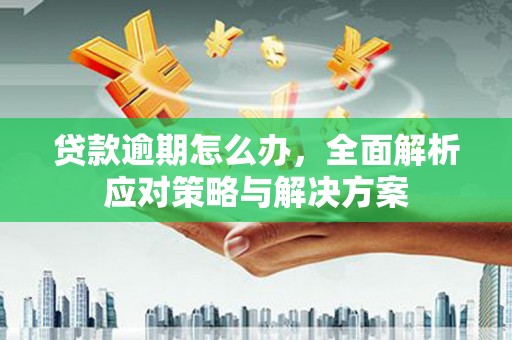 宜黄贷款逾期怎么办，全面解析应对策略与解决方案