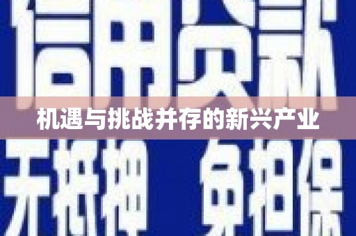 宜黄机遇与挑战并存的新兴产业