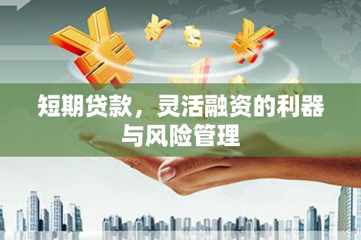 宜黄短期贷款，灵活融资的利器与风险管理