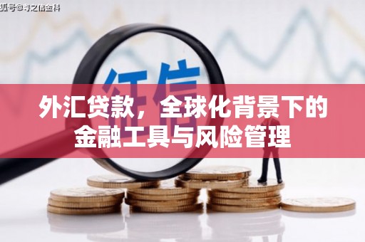 宜黄外汇贷款，全球化背景下的金融工具与风险管理