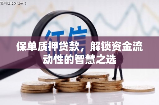 宜黄保单质押贷款，解锁资金流动性的智慧之选