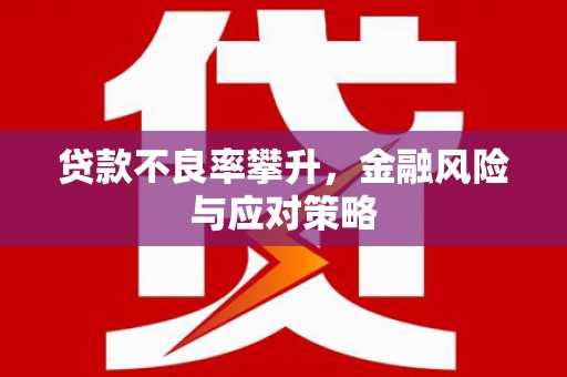 宜黄贷款不良率攀升，金融风险与应对策略