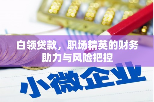 宜黄白领贷款，职场精英的财务助力与风险把控
