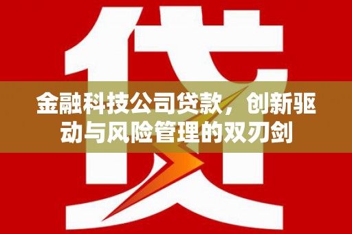 宜黄金融科技公司贷款，创新驱动与风险管理的双刃剑