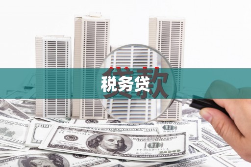 宜黄税务贷